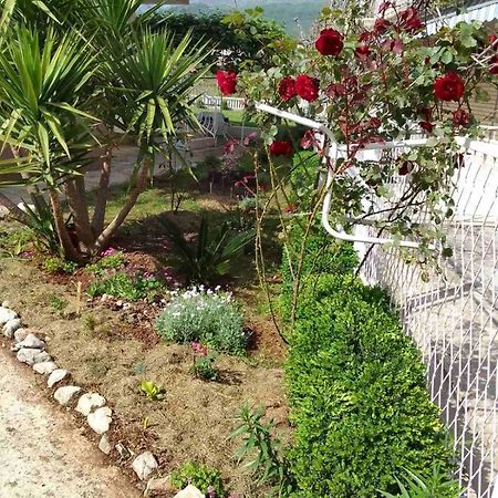 Guesthouse Djurisic Herceg Novi Exterior foto